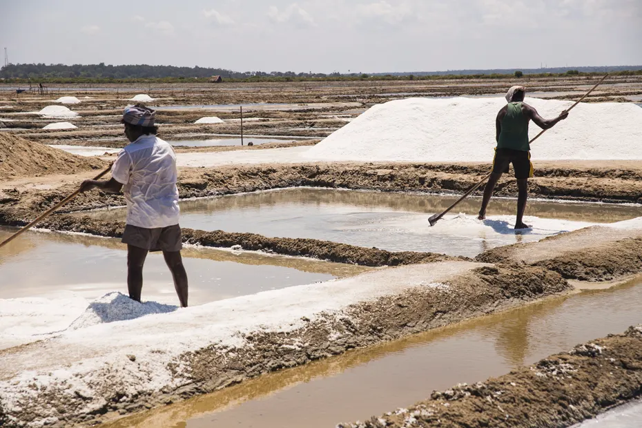 Salt pans at Marakkanam